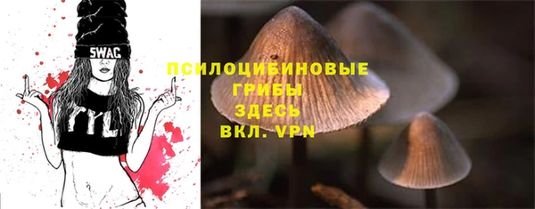 индика Верхнеуральск