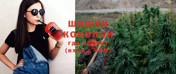 сатива Вязники