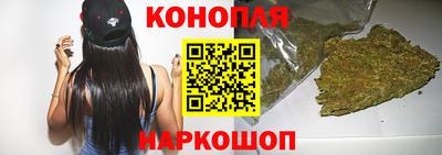 сатива Лабытнанги