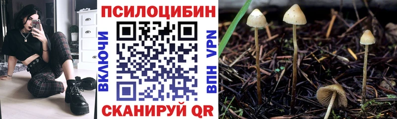 Галлюциногенные грибы MAGIC MUSHROOMS продажа наркотиков omg ССЫЛКА Томилино